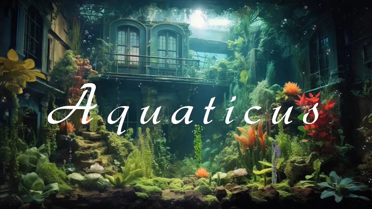 Aquaticus - Calm Underwater Aquarium Ambient Relaxation - Soothing Meditation Music to Sleep