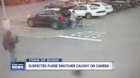 Town of Evans needs help catching purse snatcher