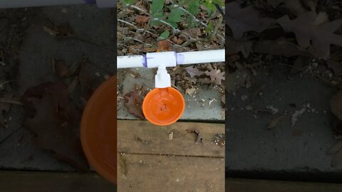 changed out the cups on the chicken watering system