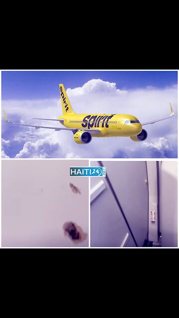 Spirit Airlines reports that a flight bound for Haiti's capital was struck by gunfire.