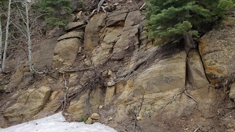 Exploring Dark Side of Devil Mountain, CO, Looking for Underground Entrance