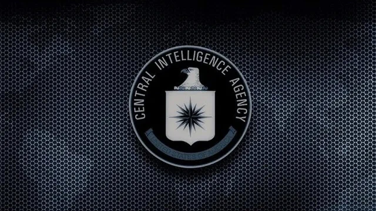 ⚡️Larry Johnson & Ray McGovern: Talk Worst Crimes Committed By Federal Gov*