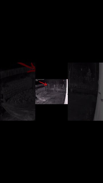 Most Amazing and trending video||relaxing your mind||trendig videos|| #shorts #trending #viral #live