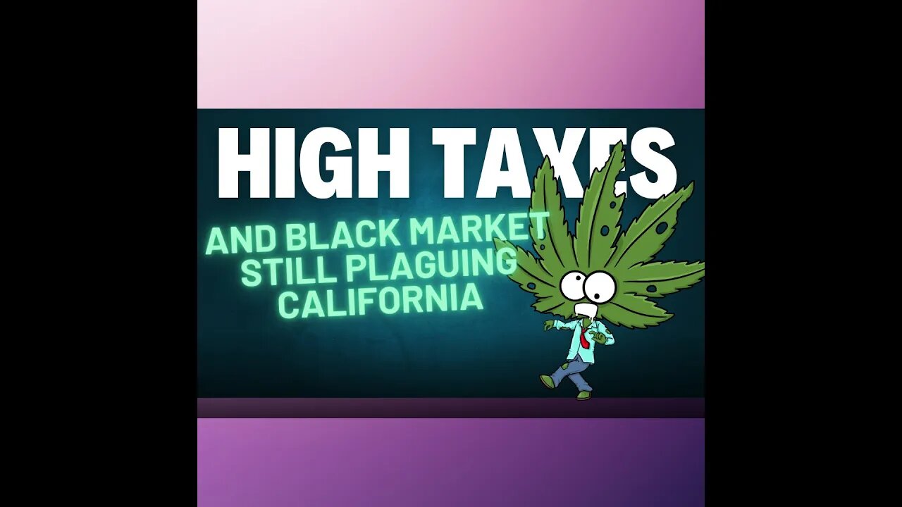 Cannabis Conundrum: Southern California Struggles with Illicit Competition and High Taxes!