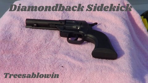 Diamondback Sidekick 22/22mag