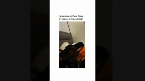 And that is so true! 😂😂🐶