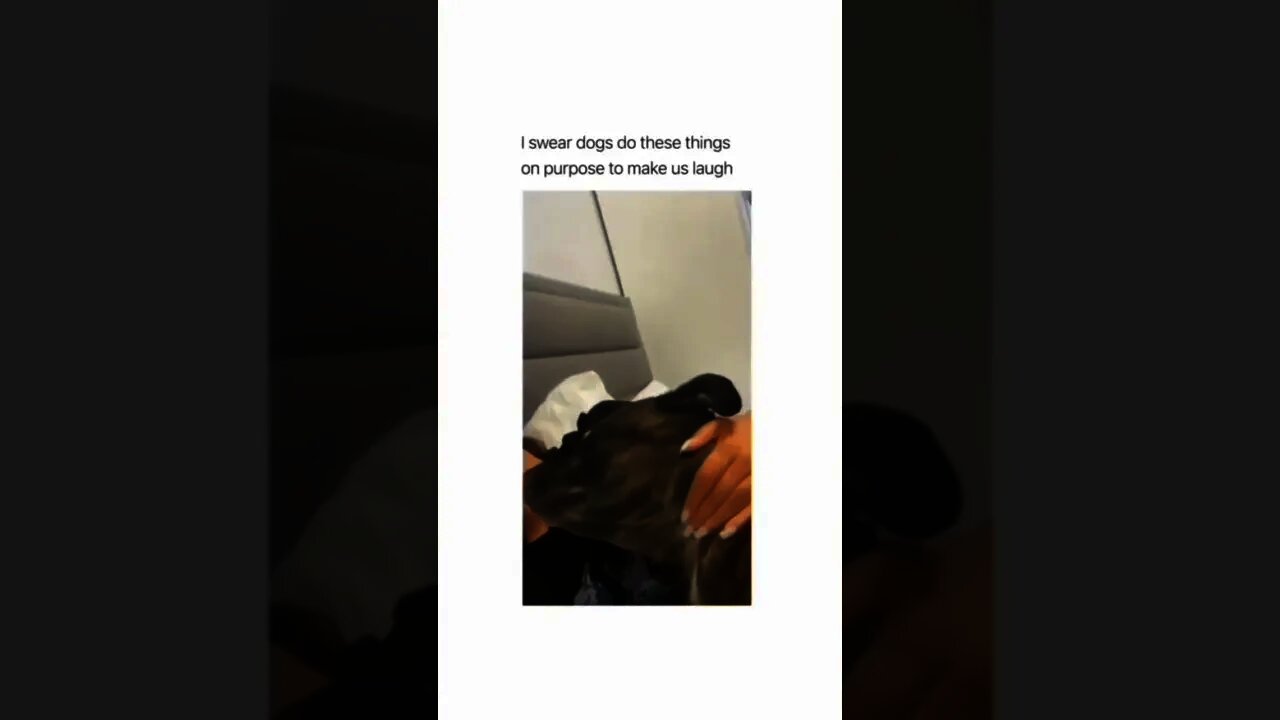 And that is so true! 😂😂🐶