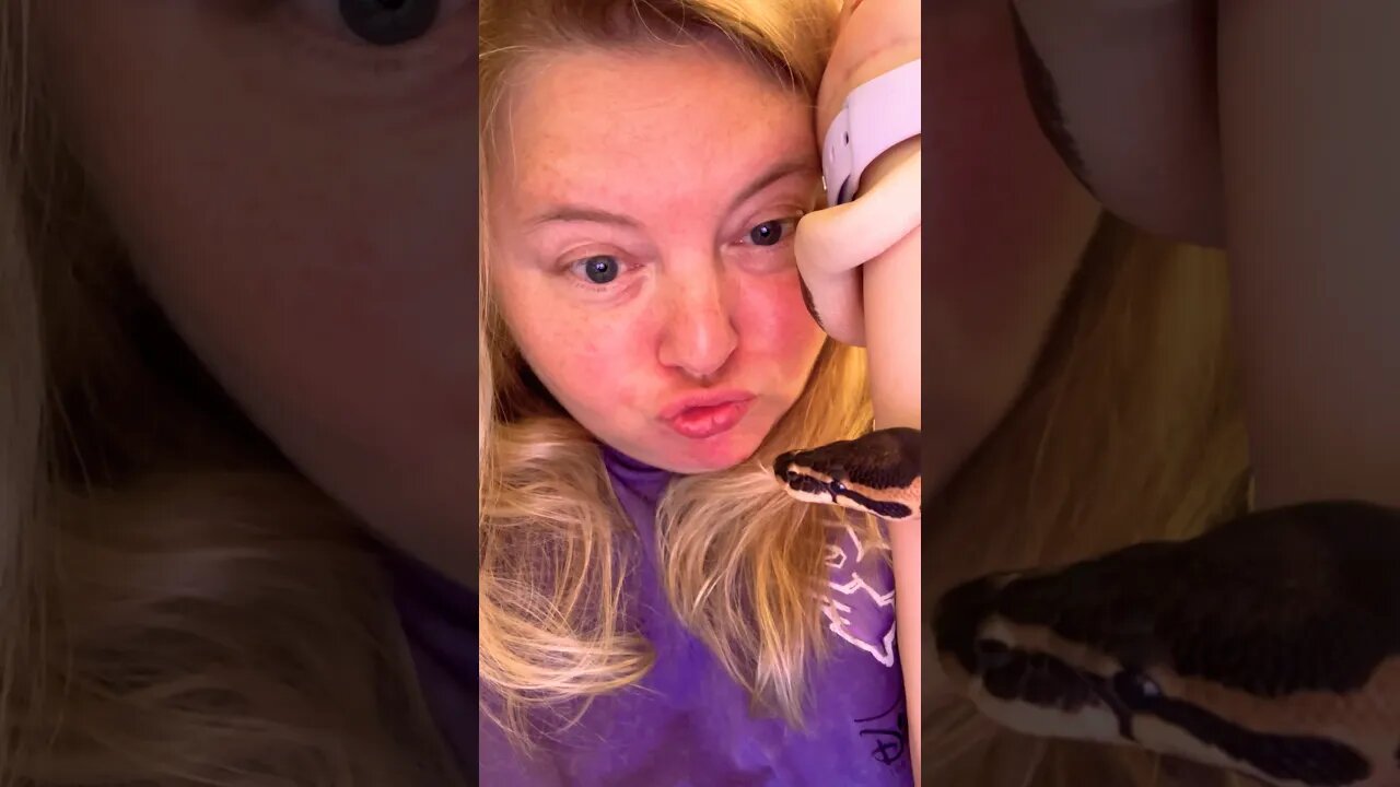 Snake Kisses 🐍 ❤️ #summerloadingwithyoutube #shorts #snake