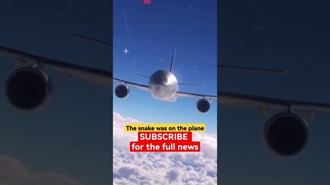 The snake was on the plane - Part 1