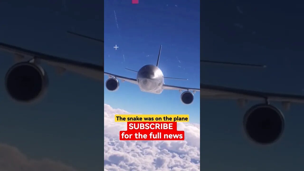 The snake was on the plane - Part 1