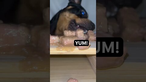 CUT DOG ASMR (VOL.1) #shorts #short #asmr #viral #subscribe