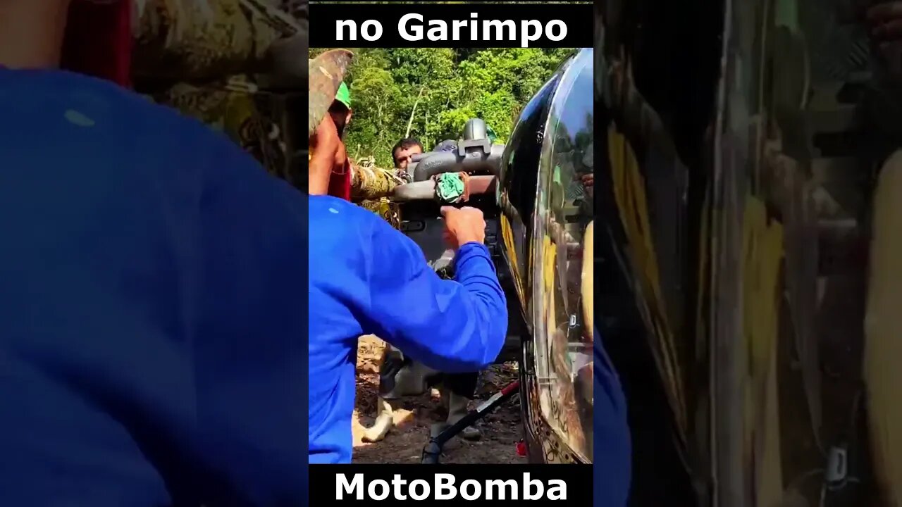 Carga de Garimpo #shortsvideo #shortvideo #garimpo #shorts