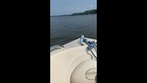 Lake Boat Crown line on ozarks