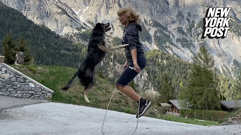 Dog learns how to jump rope