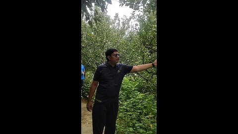 apple garden #virel video