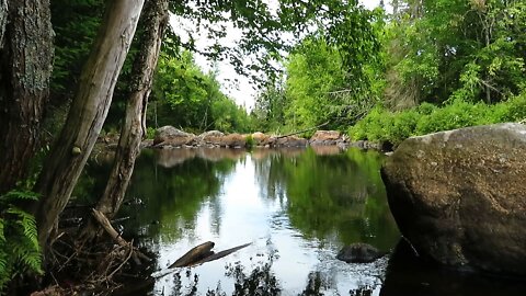 Adirondack Mountains - Beautiful Summer Day on a Peaceful Part of the River