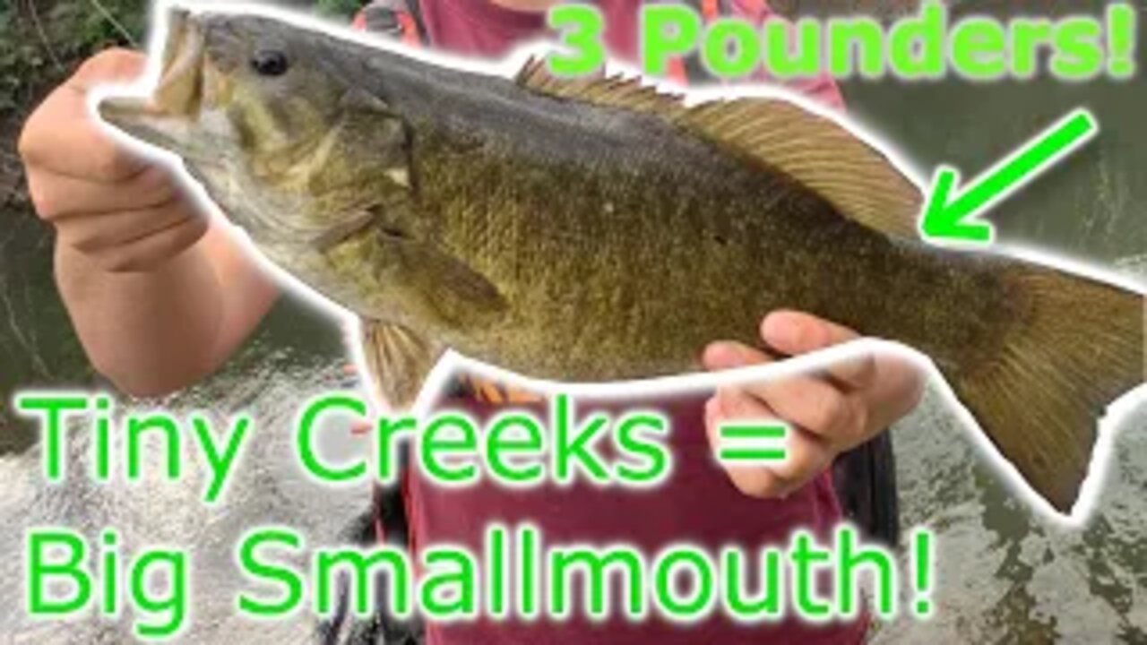 CREEK Fishing for BIG Bass