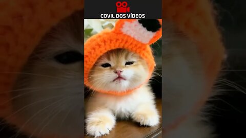 GATINHO DA PASCOA