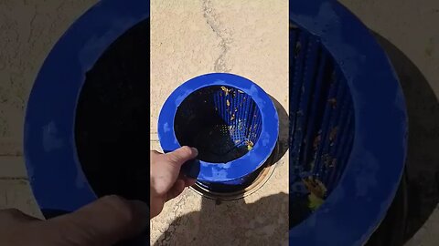 Cleaning the skimmer basket is necessary to prevent pool pump failure