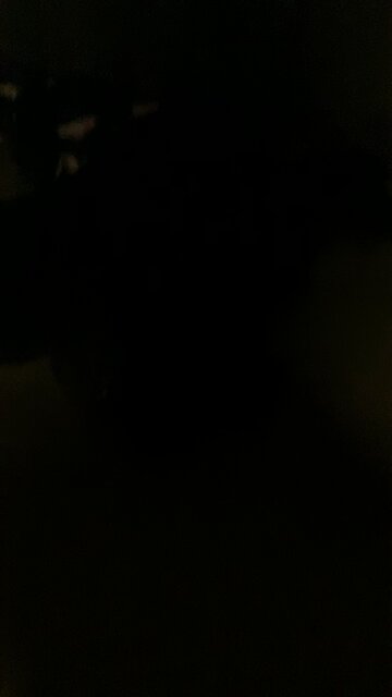 Merry Christmas cringe