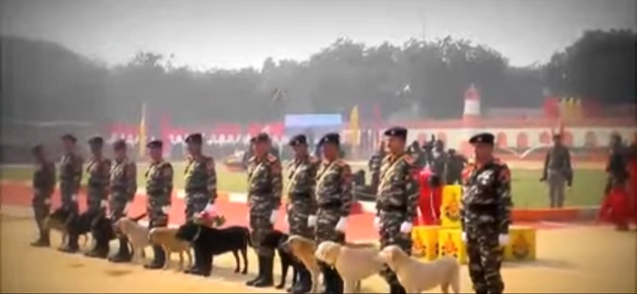 26 janvari 2021 dogs indians army