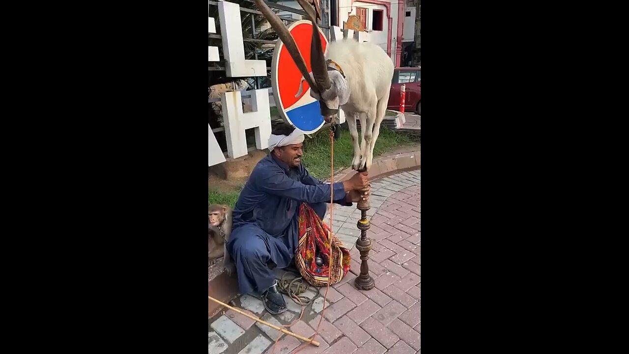 Wow