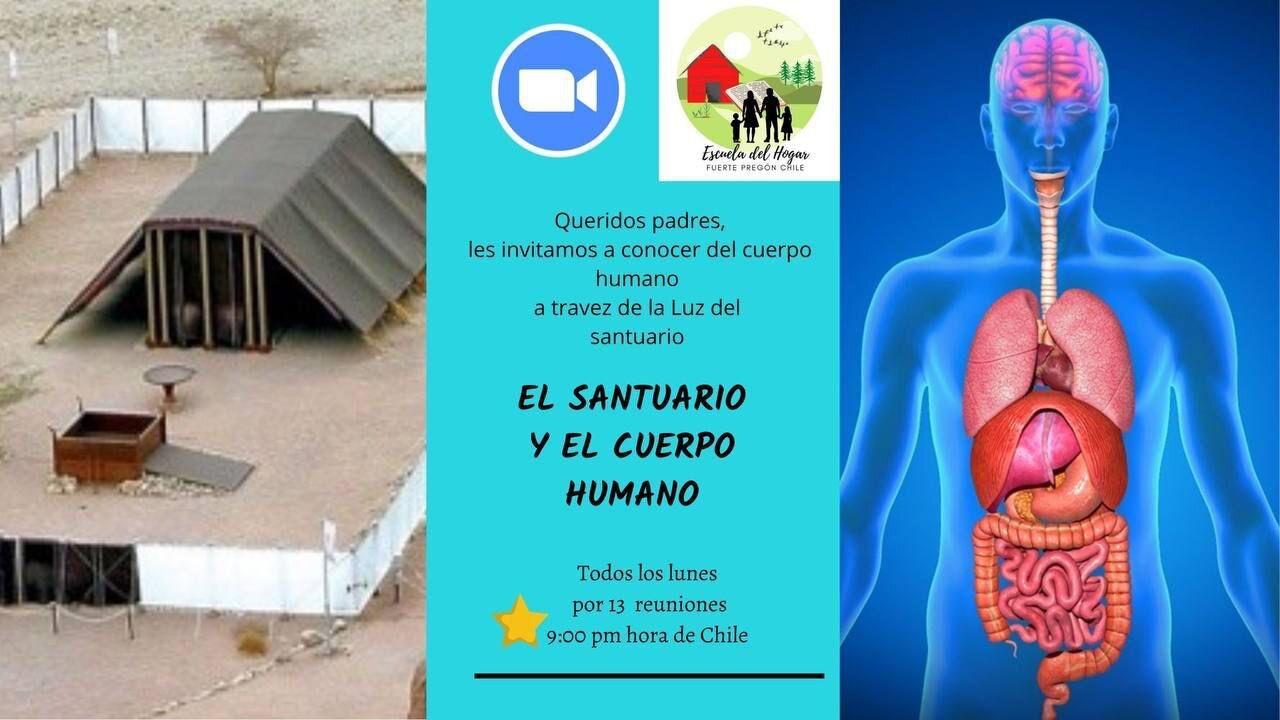 EL Sanuratio y el Cuerpo Humano Julio 18