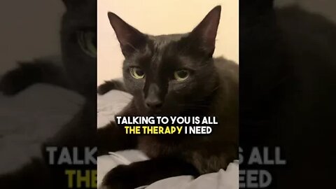 Share this with your Sis❤️ or Bestie💗 #cat #blackcat #sister #leonthecatdad #viral #fyp