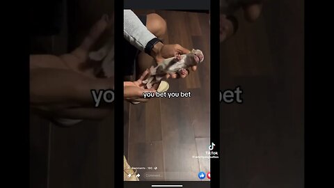 Man brings dead puppy back to life‼️😮