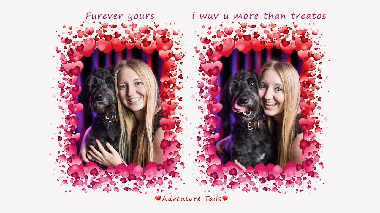 Valentine’s Day 2021 with my Goldendoodle, Brie!