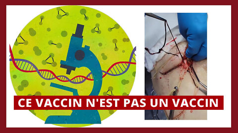 LE VACCIN "CARNIVORE"... (Hd 720) Lire descriptif