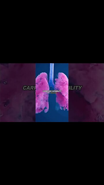 Michael Saylor on Cancer and Hyperinflation