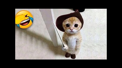 Funniest Cat And Dogs 😂 Funny Animal Videos