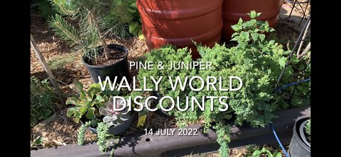 Discount Plants on Vacation