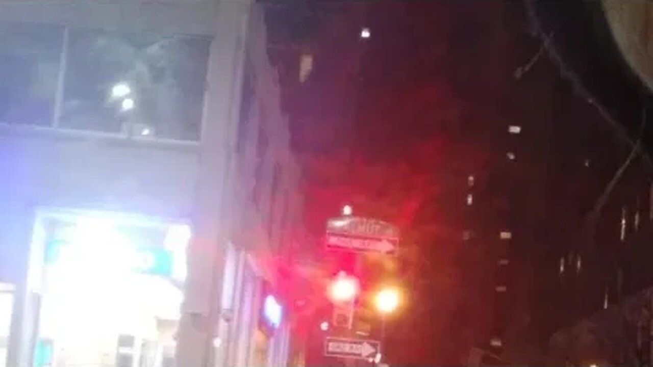 A Quick Night Walk. Two Weeks Down, One To Go! Dog Sitting🐶