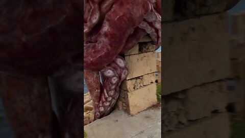 Octopus 🐙 or 🐍 #octopus #snake #shorts #viralshorts #saintpee #viral #youtubeshorts