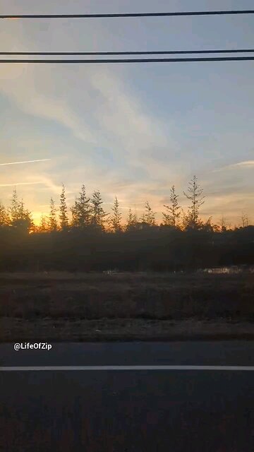 sunrise over cranberry bogs