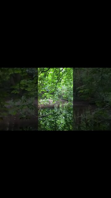 Take a moment for reflection… (pun completely intended 😂👌🏻) #mindfulmoment #reflection