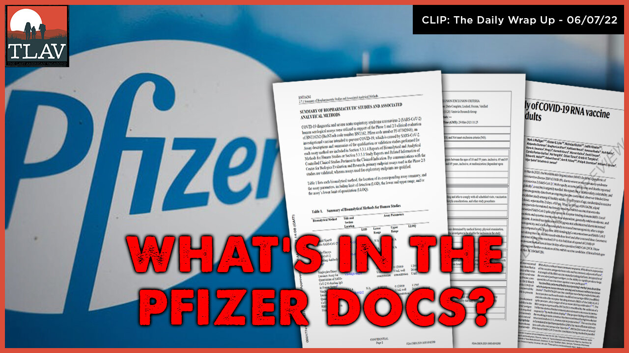 Whats in the Pfizer Docs