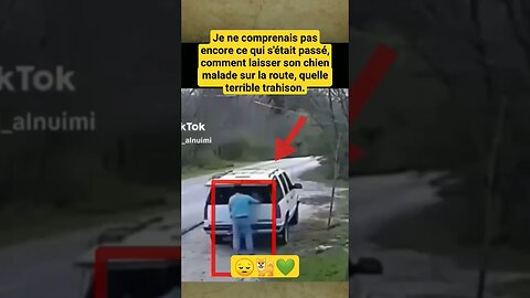 Je ne comprenais pas encore 😔🐕💚