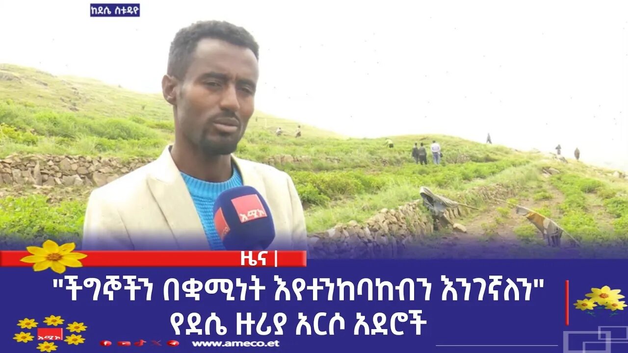 "ችግኞችን በቋሚነት እየተንከባከብን እንገኛለን" የደሴ ዙሪያ አርሶ አደሮች