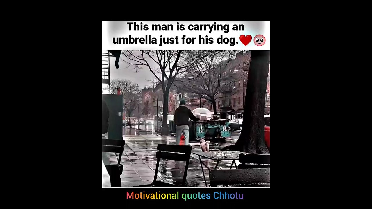 motivational quotes