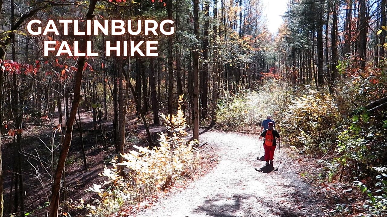 Beautiful Scenic Walk in The Woods | Gatlinburg Tennessee November 12 2021