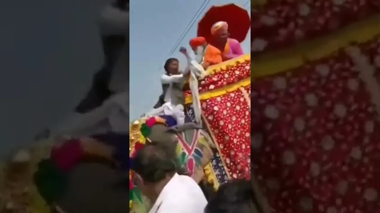 Accidental Electric Shock Makes Elephant Anxious