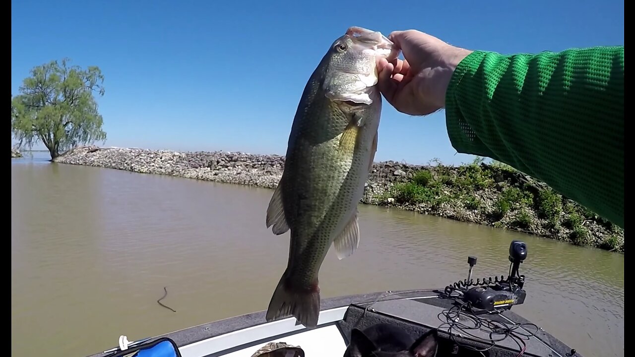 Exciting Marina Fishing - Exquisite Bass - Part 2