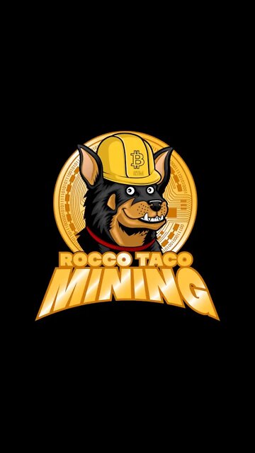 How I Would Invest my Money in Crypto (Ethereum or Bitcoin or other?) #shorts