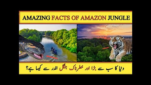 Amazing Facts of Amazon Jungle