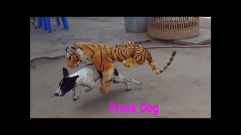 Fake tiger prank dog funny | prank dog sound | prank dog videos |