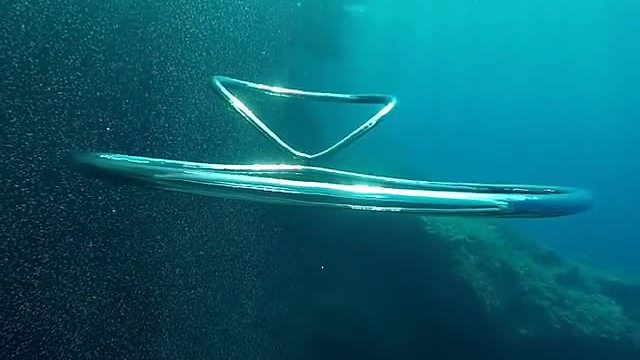 Amazing Underwater Bubble Rings In Slow Motion