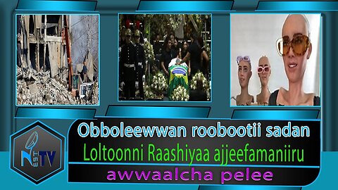 ETHIOPIA:NEST TV:Obboleewwan roobootii sadan / Loltoonni Raashiyaa ajjeefamaniiru / awwaalcha pelee